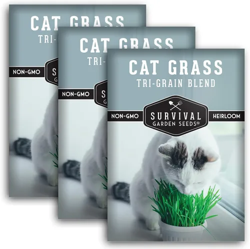 Semillas de hierba para gatos para plantar, 3 paquetes con instrucciones para plantar y cultivar verduras para tu mascota en interiores o exteriores