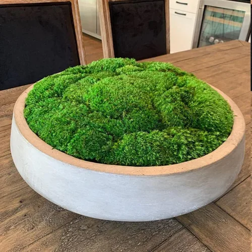 Miniatura 4 de Cojín Almohada de Musgo de Poste Preservado Color Verde Natural Decorativo Verde Natural Real Kit de Bricolaje Terrarios Arte de Jardinería 2-verde