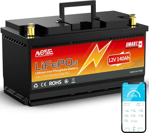 Miniatura 10 de Batería de litio LiFePO4 de 12 V 100 Ah con Bluetooth, BMS integrado, protección a baja temperatura, más de 5000 ciclos, celdas de batería