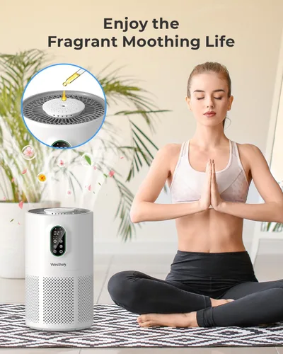 Miniatura 8 de Purificadores de aire para el hogar, habitación grande de hasta 1650 pies cuadrados, purificador de aire WESTHEY H13 True HEPA para dormitorio
