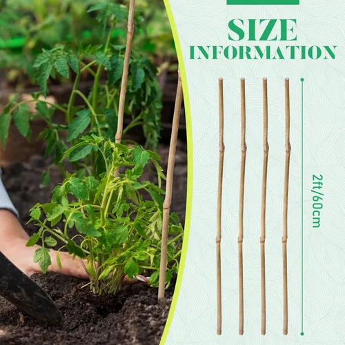 Miniatura 2 de Suclain Juego de 100 estacas de bambú para plantas trepadoras, estacas de bambú resistentes para plantas trepadoras, tomates, frijoles, flores