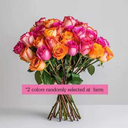 Miniatura 2 de GlobalRose Ramo de 50 rosas surtidas, rosas de origen responsable, flores frescas, ramo fresco de flores seleccionadas a mano para el día