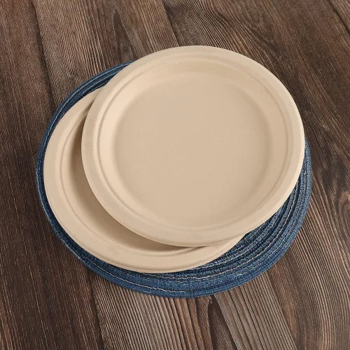 Miniatura 4 de Platos de papel compostables de 9 pulgadas – Paquete de 125 Bagazo de caña de azúcar resistente Microondas y fugas Platos desechables