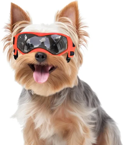 Miniatura 8 de Gafas de sol para perros de raza media, lentes de sol para perros pequeños, gafas de sol anti-UV para protección de ojos de mascotas, correas Rosa