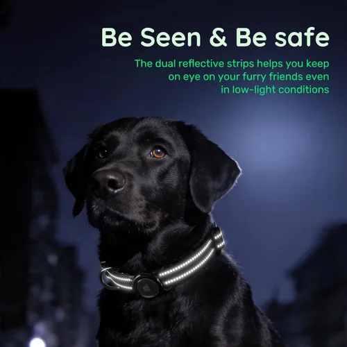 Miniatura 3 de Collar de perro Airtag con código QR, collar reflectante para perro con soporte Airtag, acolchado suave y hebilla de bloqueo de seguridad ajustable