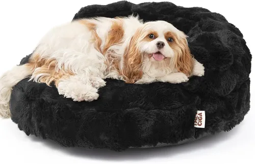 Miniatura 23 de EHEYCIGA Sofá cama suave para gatos de interior, cama extra pequeña esponjosa para perros con funda extraíble lavable, sofá para mascotas, Camello