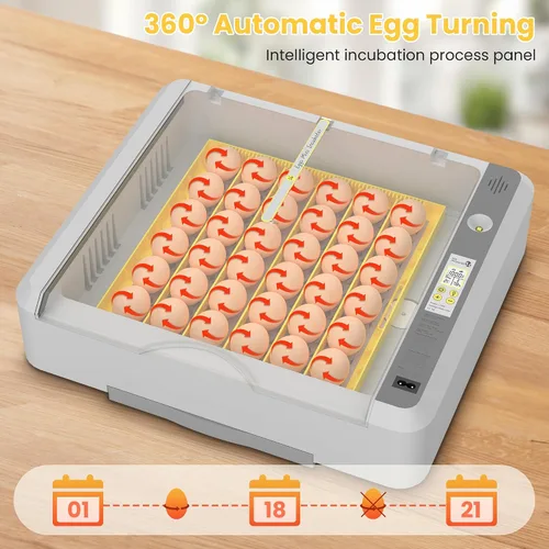 Miniatura 3 de Incubadora de huevos de 36-60 con giro automático de huevos y control de humedad, incubadora de huevos de pollo ajustable con pantalla digital