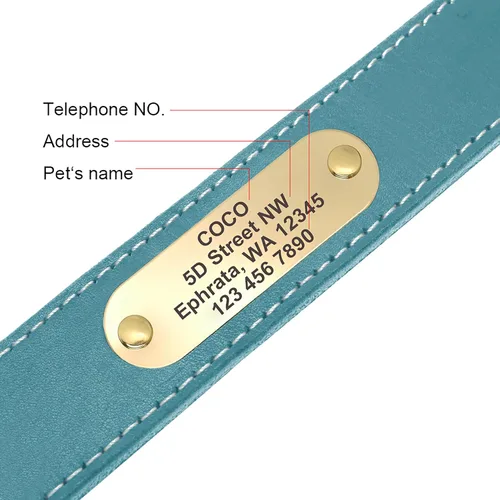 Miniatura 4 de Didog Collares de perro de cuero genuino con placa de identificación grabada, collar de perro de cuero suave personalizado con etiqueta de Azul