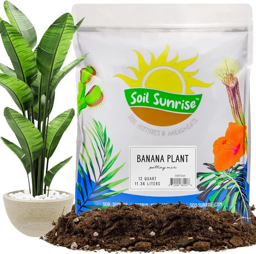 Soil Sunrise Mezcla de tierra para macetas de plátano (12 cuartos de galón) – Mezcla mezclada a mano para interiores y exteriores para plantas de