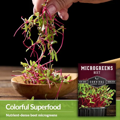 Miniatura 3 de 1 paquete de semillas de microgreens de remolacha para plantar y cultivar – Planta microvegetales de hoja verde en interiores – Cultiva tu propio
