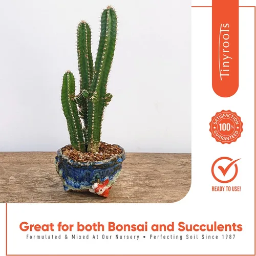 Miniatura 6 de Tinyroots - Roca de lava roja para plantas, 2.25 cuartos de galón, bonsái tamizado y aditivo para suelo de cactus, mantiene la humedad adecuada, se