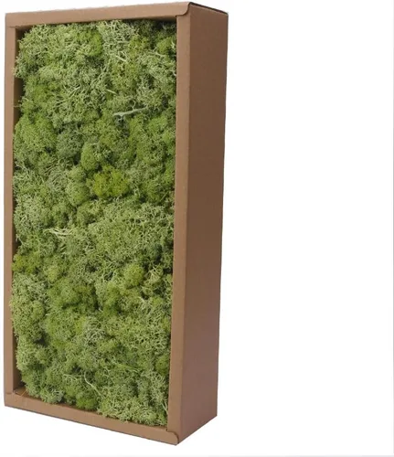 Miniatura 13 de Musgo preservado, musgo de 3.5 onzas para manualidades, decoración de musgo sintético, musgo verde natural para decoración de pared de floristería