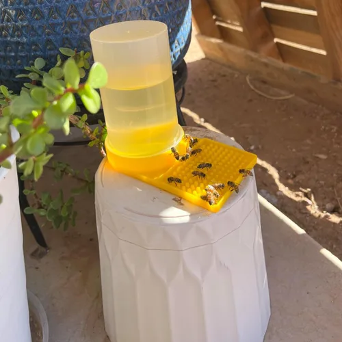 Miniatura 4 de Paquete de 2 alimentadores de agua de abeja, colmena de apicultura, alimentador de entrada de colmena, apicultura, bebida, mariposa, baño, estación