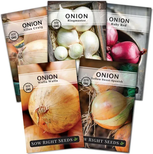 Sow Right Seeds - Colección de semillas de cebolla de día largo para plantar - Amarillo dulce español, Ringmaster, rojo rubí, Ailsa Craig, Walla