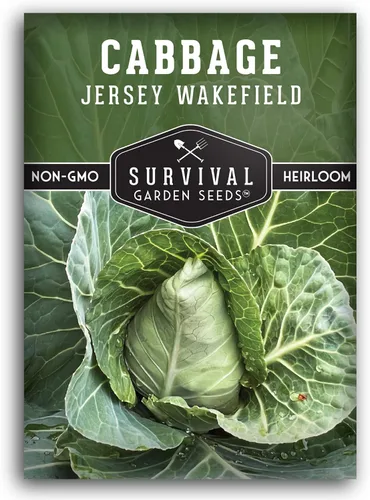 Survival Garden Seeds - Semilla de col Jersey Wakefield para plantar - Paquete con instrucciones para plantar y cultivar repollos verdes en forma de