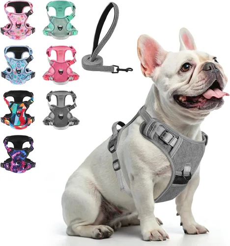 Miniatura 16 de BEAUTYZOO Arnés para perro sin tirones pequeño, juego de arnés y correa ajustable para perro - Fácil de usar con 3 hebillas/mango de control, arnés