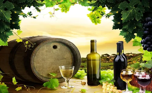Miniatura 2 de Fondo con tema de vino, 5 x 3 pies, viñedo, plantas frutales, hojas, pancarta, fondo de fotografía para fiesta de cumpleaños de niños, accesorios
