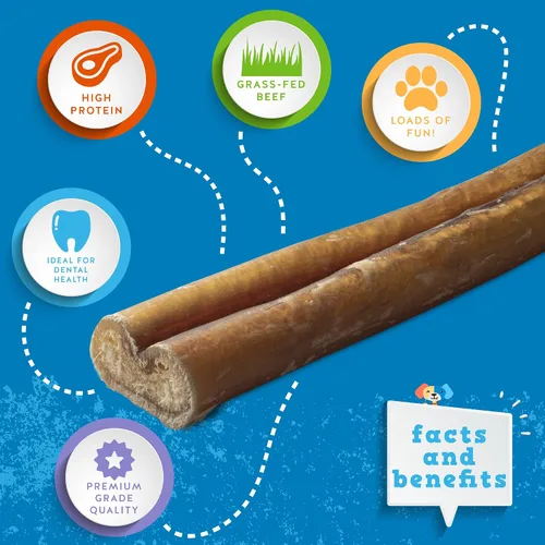 Miniatura 2 de Jack&Pup Bully Sticks Jumbo de 6 pulgadas para perros (paquete de 12) Palitos de perro de un solo ingrediente para perros grandes y masticadores