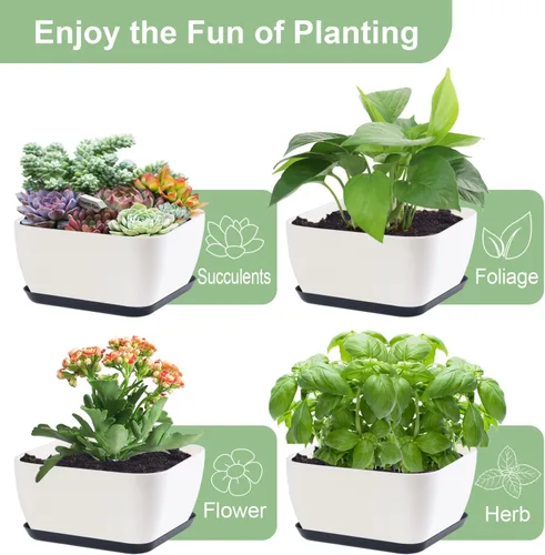 Miniatura 6 de Macetas para suculentas en forma de corazón poco profundas con orificio de drenaje, 4 paquetes de macetas de cactus para el hogar, oficina, jardín