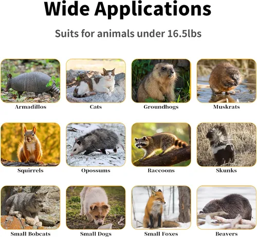Miniatura 6 de Trampas plegables de 32" para animales vivos, trampa humana para animales para gatos callejeros de hasta 16.5 libras, mapaches, ardillas, zorrillos