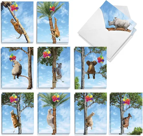 Miniatura 14 de The Best Card Company Juego de 20 tarjetas de cumpleaños surtidas de 4 x 5.12 pulgadas con sobres para hombres, mujeres y niños (diseños de 10 x 2)