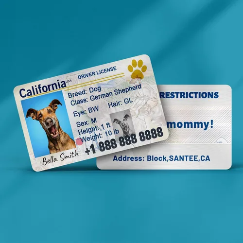 Miniatura 3 de Etiquetas de perro personalizadas para mascotas Personalizadas para mascotas Etiquetas de perro de silicona Etiqueta de perro especial Etiqueta