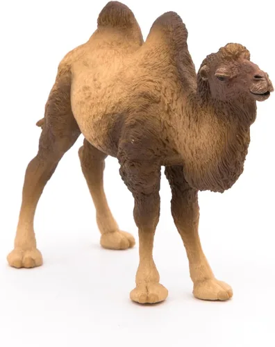 Miniatura 7 de Papo - Figura realista de camello bactriano para niños - A partir de 3 años - Colección Wild Life - Animales exóticos educativos - Juguete de idea