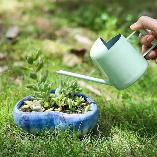 Miniatura 3 de Regadera Mini, 300ml/10oz de Acero Inoxidable con Boquilla Larga, Regadera Pequeña para Plantas de Interior, Suculentas, Hierbas (Verde)