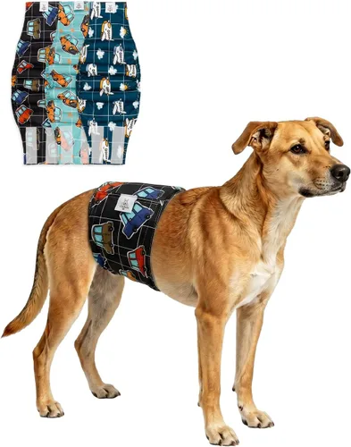 Miniatura 34 de CuteBone - Pañales lavables para perro macho, banda abdominal, paquete de 3 unidades, color negro, modelo DM54XS