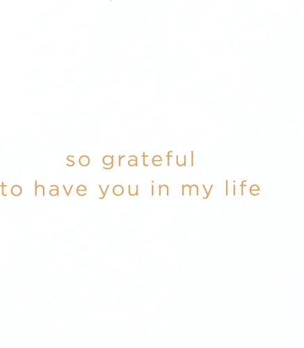 Miniatura 3 de Papyrus Tarjeta de amistad (Grateful to Have You)