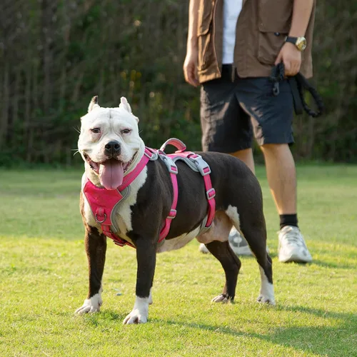 Miniatura 8 de Huntboo Arnés para perro a prueba de escape, arnés reflectante con mango acolchado, transpirable, duradero, chaleco ajustable para perros medianos
