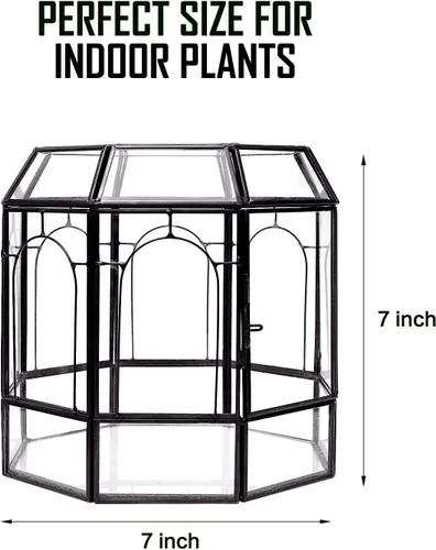 Miniatura 3 de REDHUGO Terrario grande de vidrio hecho a mano, caja de exhibición central, maceta de regalo, contenedores para terrarios de interior, casa