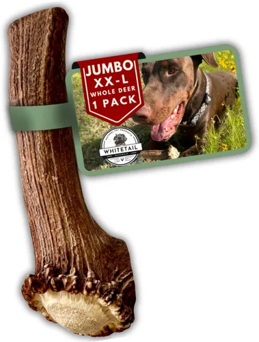 Miniatura 12 de Whitetail Naturals - Paquete de 3 masticables medianos para perros con cuernos de ciervo - Cuernos para perros medianos - Huesos de perro