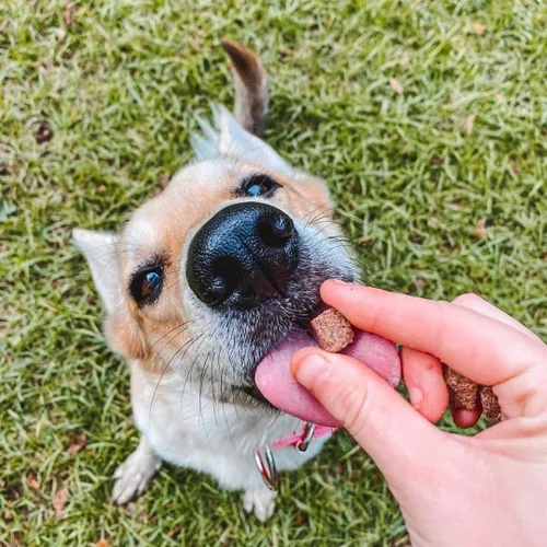 Miniatura 6 de HOLI Elk & Venison - Golosinas liofilizadas para perros, totalmente naturales y capturadas en la naturaleza, fortificadas con vitaminas y minerales