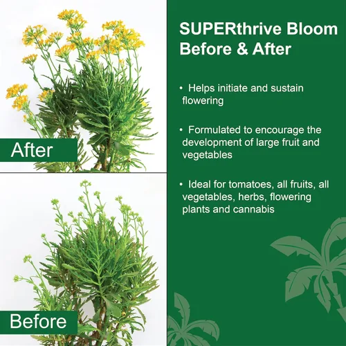 Miniatura 4 de Dyna-Gro Bloom, BLM-032 3-12-6. Alimento para plantas, 1 cuarto de galón, Blanco