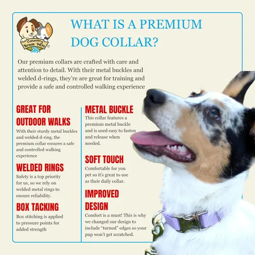 Miniatura 5 de Country Brook Petz – Collar de nailon premium con hebilla de metal para perro para razas pequeñas, medianas y grandes – 10+ colores geniales Lavanda