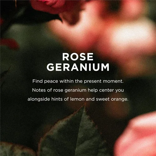 Miniatura 3 de Eo, Bubble Bath Rose Geranium, 12 Fl Oz