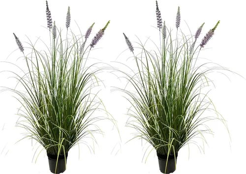 Miniatura 12 de AfanD Planta artificial de lavanda de 35 pulgadas (paquete de 2) – Plantas y flores decorativas altas para interiores del hogar en maceta, planta