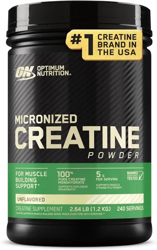 Optimum Nutrition Creatina Micronizada Monohidrato en polvo, sin sabor, 240 porciones, 1200 gramos (el embalaje puede variar)