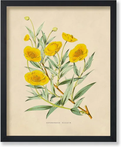 Miniatura 50 de Poster Master Póster Vintage de Plantas Cultivadas - Impresión Botánica Retro - Arte de Flores - Arte de Plantas - Regalo para Hombres y Mujeres