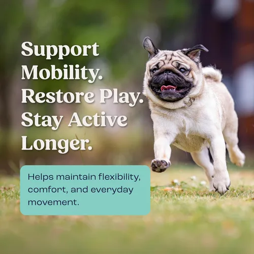 Miniatura 4 de Summit Canine - Suplemento para articulaciones y movilidad para perros pequeños, condroitina líquida natural con suministro liposomal para artritis