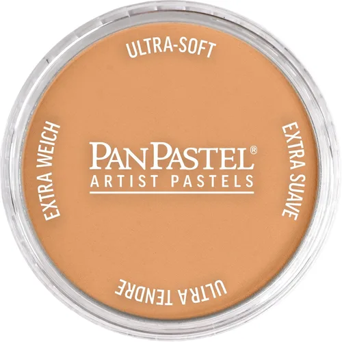 PanPastel Golden - Pasteles para artistas, bronce, diámetro de bandeja de 2.44 pulgadas / 2.441 in, pasteles profesionales para artistas, formato