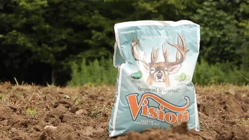 Miniatura 3 de Whitetail Institute Vision Deer Food - Semillas de parcela para plantar en otoño, mezcla perenne de trébol, achicoria y col rizada para atraer
