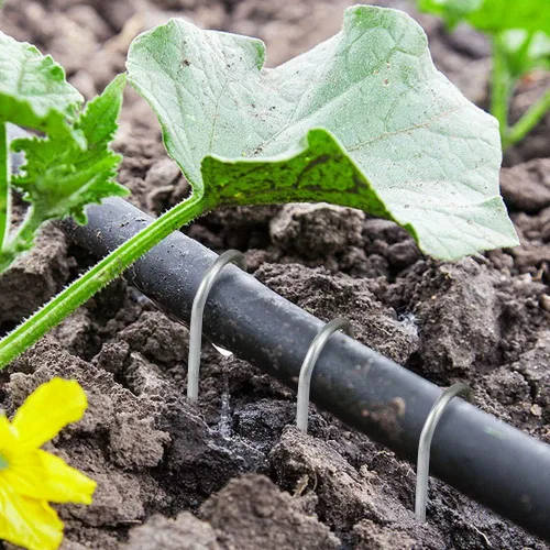 Miniatura 5 de Paquete de 150 estacas de jardín galvanizadas de 6 pulgadas, grapas de jardín, pasadores de césped resistentes, estacas de valla antioxidantes