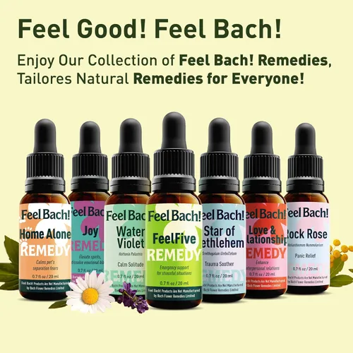Miniatura 7 de Feel Bach! Flower Essence Dropper Madreselva, 0.7 fl oz, 0.7 fl oz