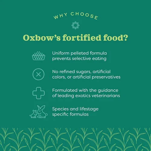 Miniatura 3 de Oxbow Essentials - Alimento para conejos, conejo joven, fabricado con Oxbow Timothy, pellets de comida para mascotas para conejos, productos
