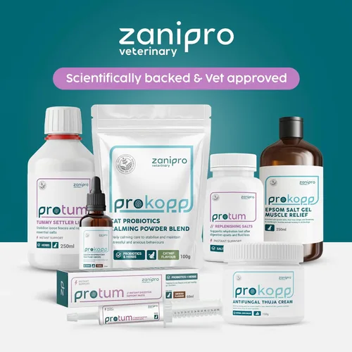Miniatura 8 de Protum - Pasta probiótica para perros, fórmula prebiótica avanzada de 1.0 fl oz para apoyo digestivo, sabroso sabor a maní para la salud intestinal