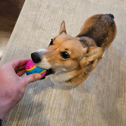 Miniatura 11 de Bola de juguete para perros Ethical Pets Sensory Ball, 2.5", Colores Variados