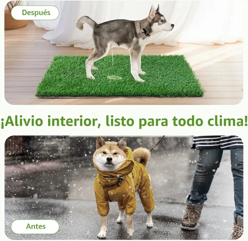 Miniatura 7 de LOOBANI - Almohadillas de césped para que los perros orinen, césped artificial, repuesto de césped artificial para orinal de cachorros