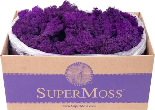 Miniatura 16 de Super Moss 21669 - Musgo de reno preservado, Chartreuse, 8 onzas (200 pulgadas cúbicas)
